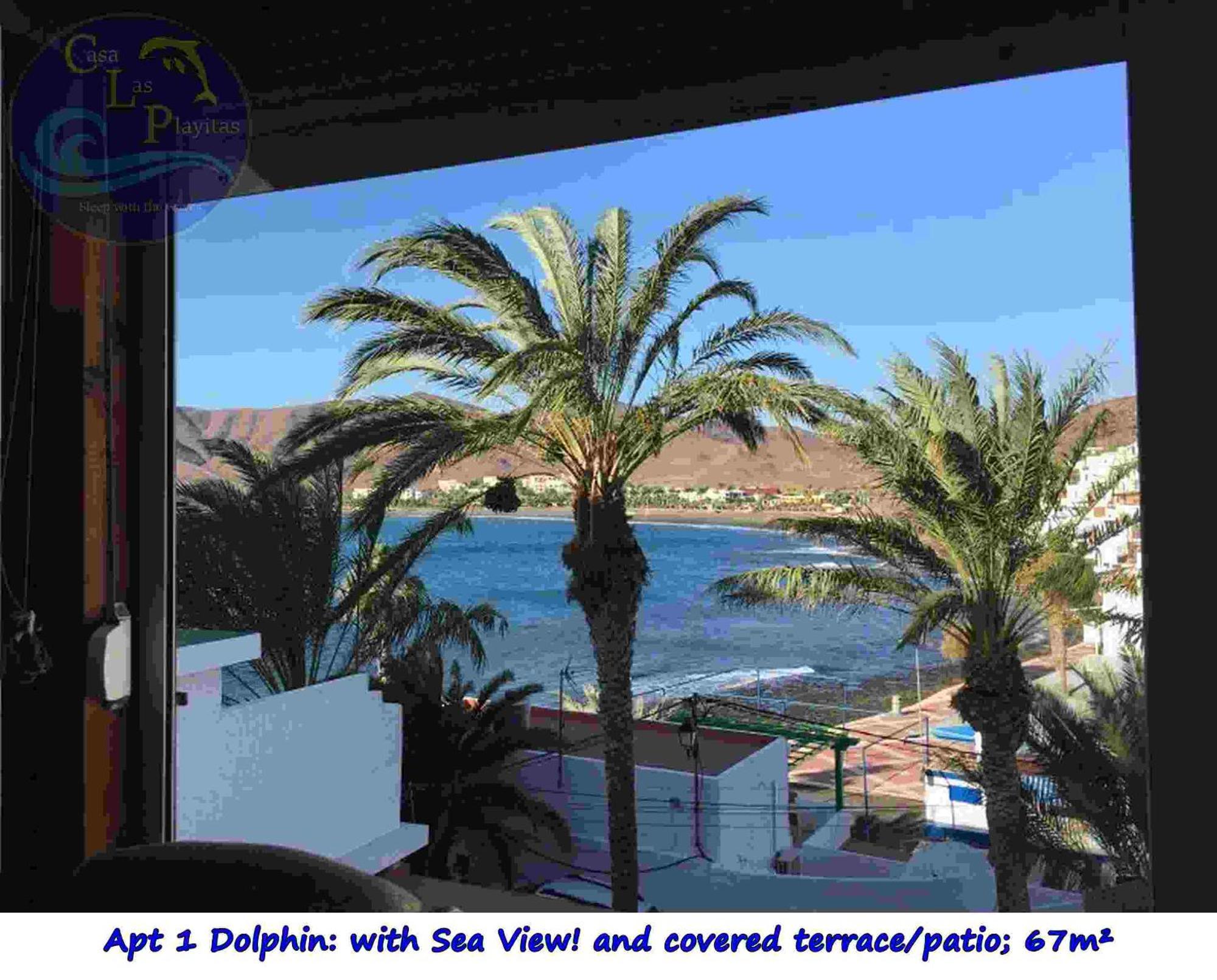 Casa Las Playitas -Clp- Best Sea View - In 1 Minute Ocean Las Playas Kültér fotó